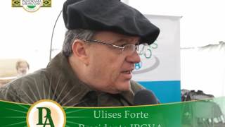 Panorama Agropecuario N° 449/3 Jornada IPCVA Cond. y Dir. Ing.Agr.Hernán Viera