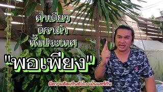 พอเพียง หลายคนยังเข้าใจผิด : บ้านสวนวาสนาดี EP.22