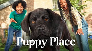 Puppy Place — Season 2 Official Trailer   Apple TV+