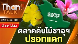 รีบปลูก ! ถึงเวลาส่งออกต้นไม้ไทยไปซาอุฯ | ลึกแต่ไม่ลับ | THANTALK