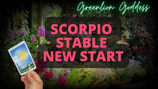 Scorpio The Reset  Moving From Chaos To Crystal Clarity