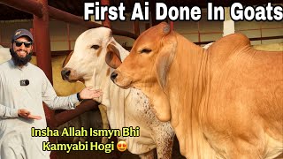 Insha Allah Is Project Myn Bhi Kamyab Hongy Jesy Pehly Howe ❤️ | AR Maani