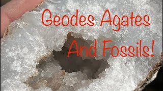 Back to my favorite creek for weird geodes with lots of cool finds!