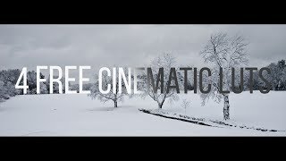 LUT PACK • 4 FREE Cinematic LUTs | Premiere Pro, Final Cut Pro, ect