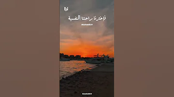 هو انتو انتو عليكوا ضغوطات واحنا مكسرات اكسبلور تيك توك Funny Nature 