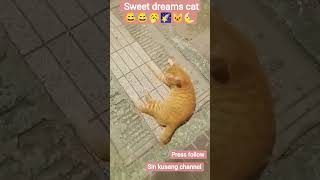 #cover #music #singer #music #love #sinkusang #diy #cat #shorts #sonyaart22 #shortvideo