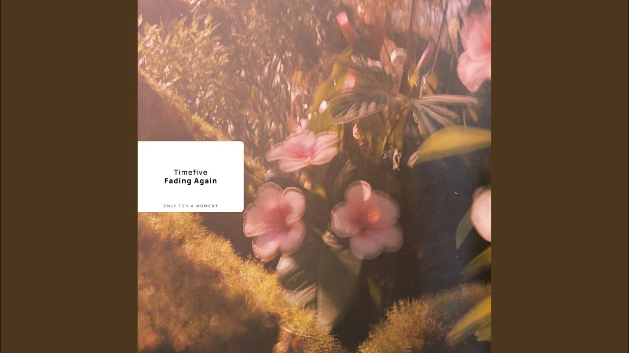 Watch Fading Again on YouTube Watch Fading Again on YouTube