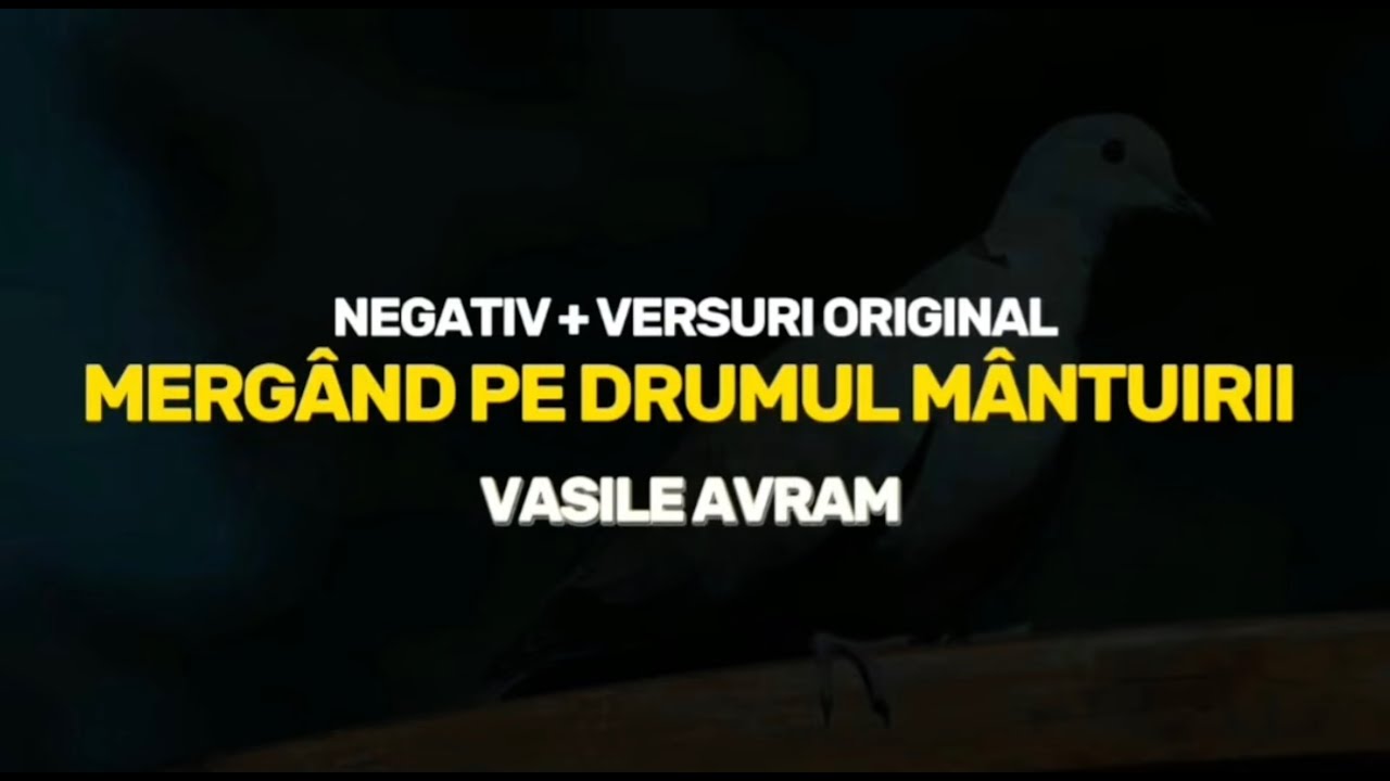 Mergand pe drumul mantuirii – Negativ Original (Vasile Avram)