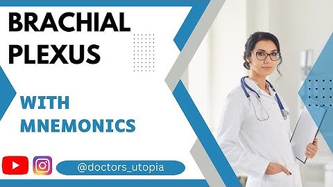 Brachial plexus | Made easy with mnemonics | | @doctorsutopia