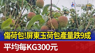 傷荷包屏東玉荷包產量跌9成 平均每KG300元