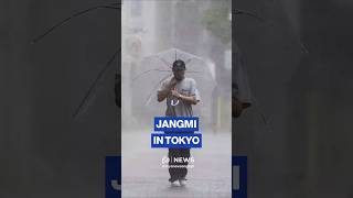 Heavy Rain In Tokyo As Severe Tropical Storm Jangmi Reaches Japans Capital