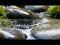 Relaxing music | Inner peace | Healing music | Meditation | Relaxing | Relaxing piano | Rain sounds