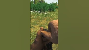 SWEET RELOAD #shorts