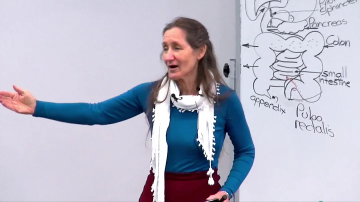 Barbara O'Neill - Part 14: Remedying digestive pro...