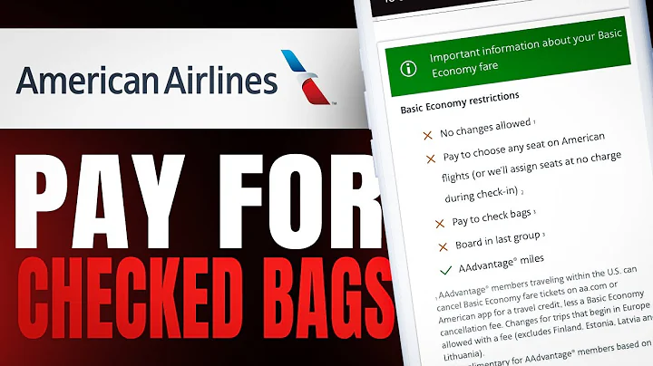 How To Pay for Checked Bags American Airline (Simple Guide)