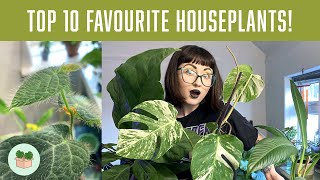 TOP 10 ALLTIME FAVOURITE HOUSEPLANTS!  You Should Grow These Plants