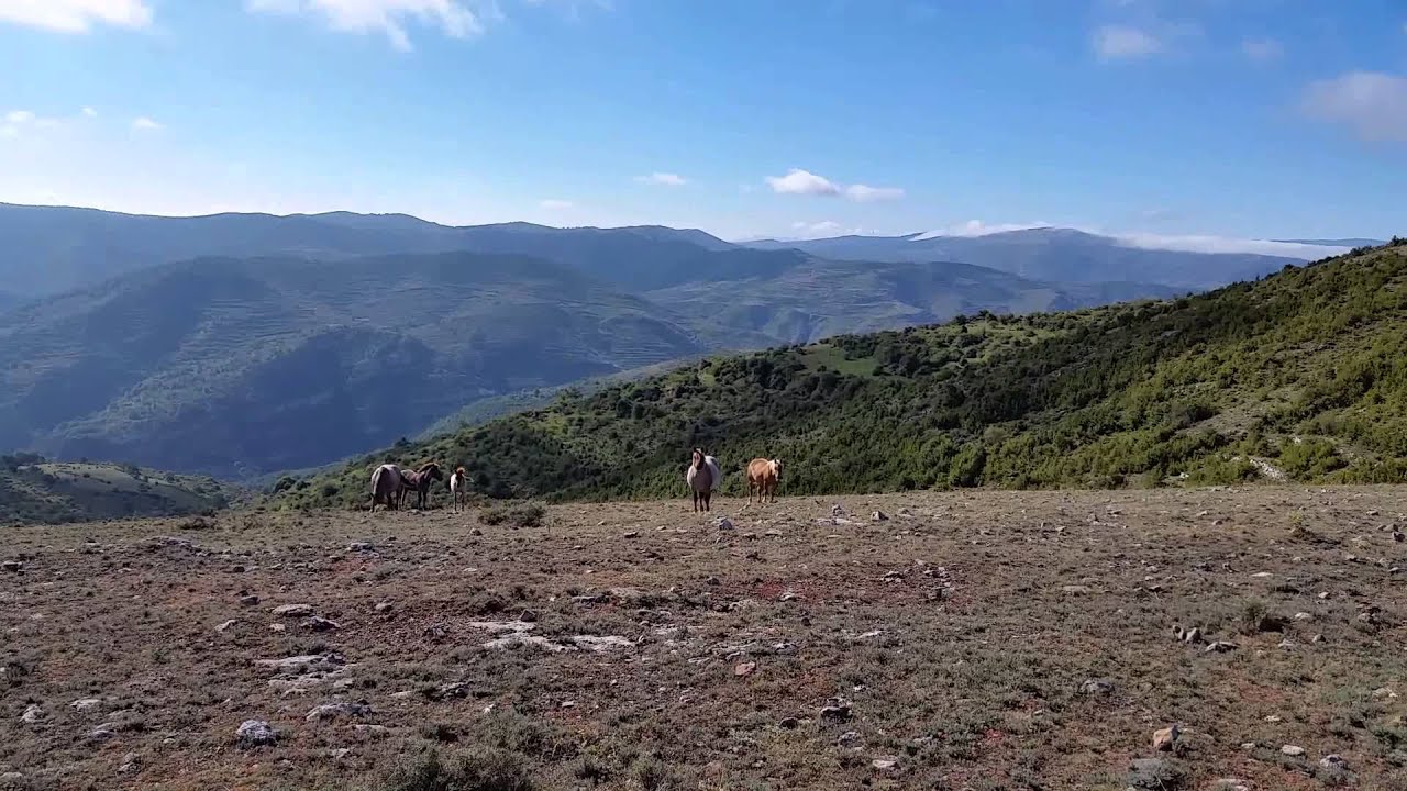 Subida a Zorralamuela.( Trevijano.) La Rioja