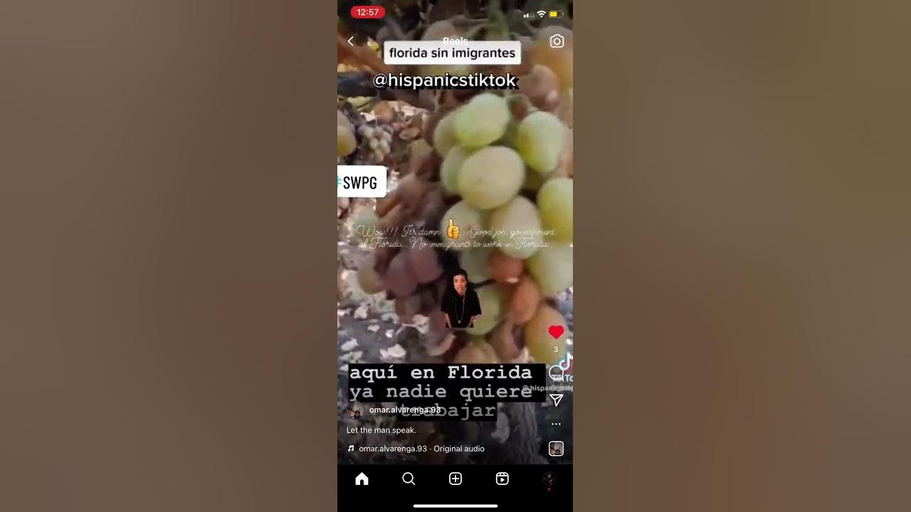 Crops rotting in Florida YouTube