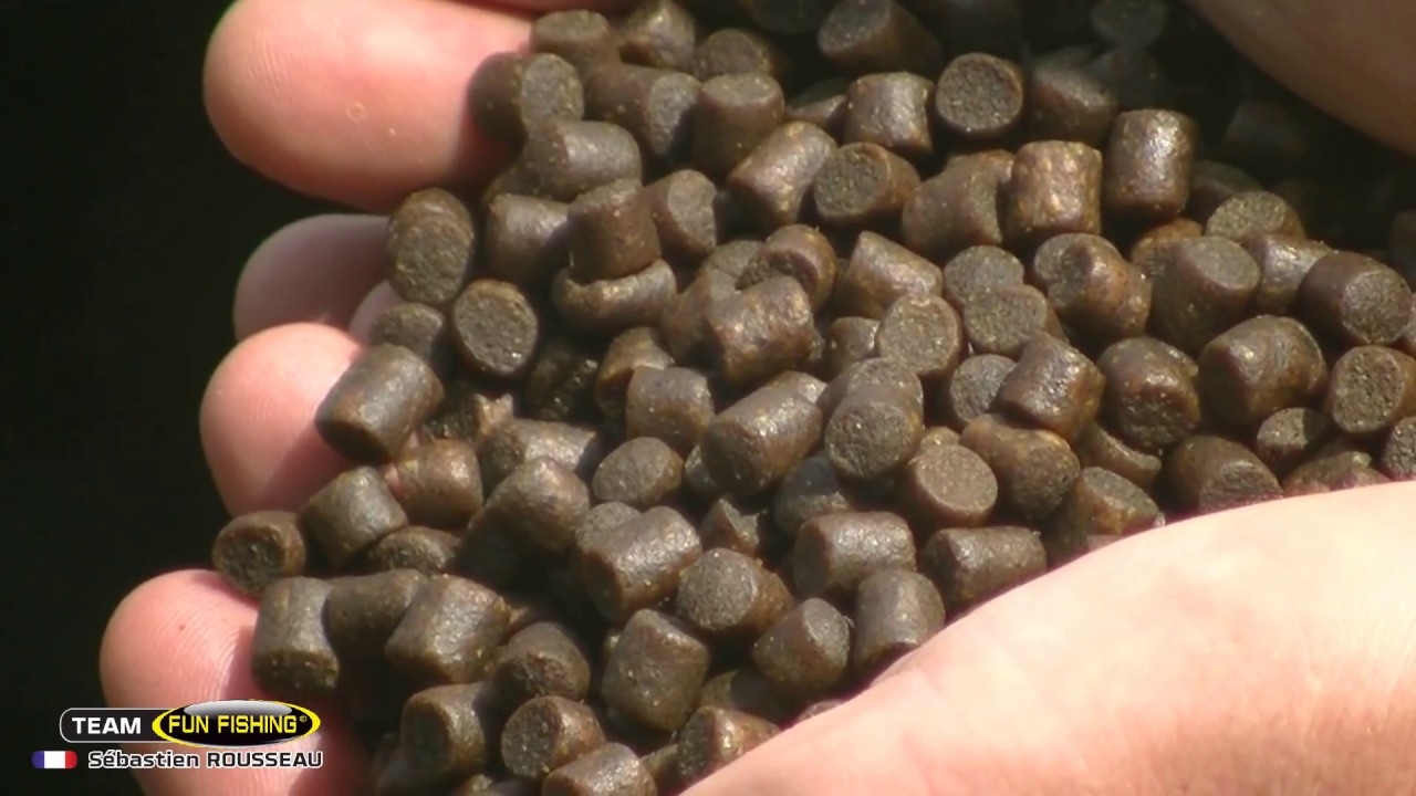 Gros carton aux Pellets Perçés Fun Fishing avec Sébastien Rousseau