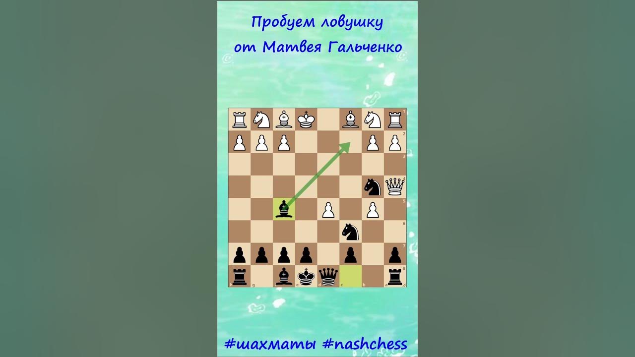 гальченко шахматы