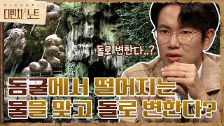 동굴에 떨어지는 물을 맞으면 돌로 변한다? {마더쉽튼 동굴} 미스터리! #다빈치노트 EP.6 | tvN 210911 방송
