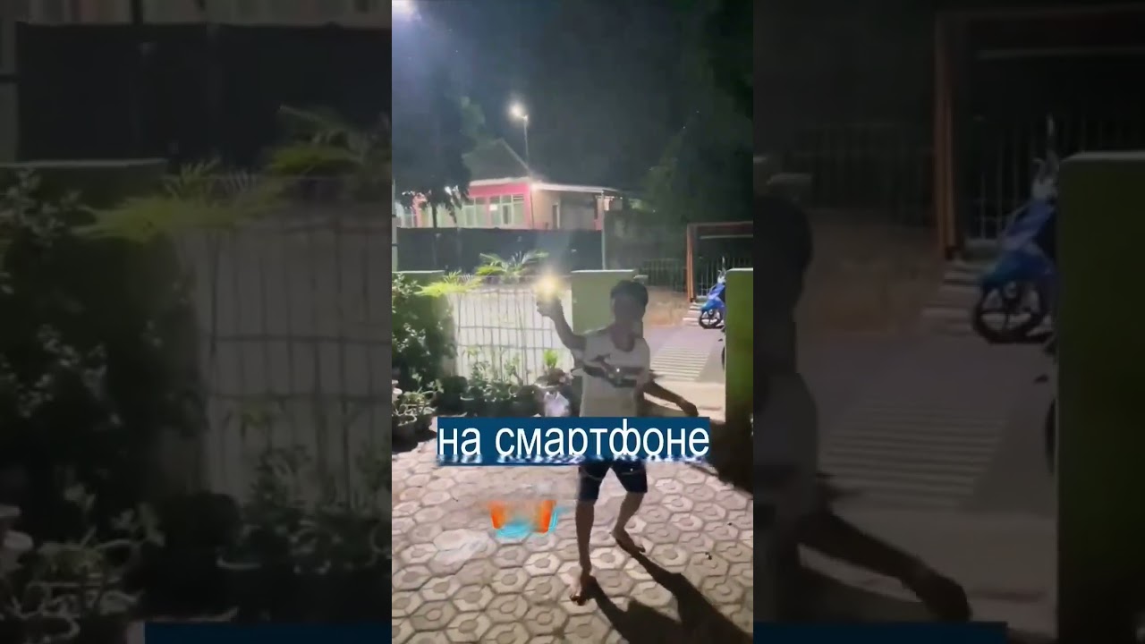 повелитель насекомых 