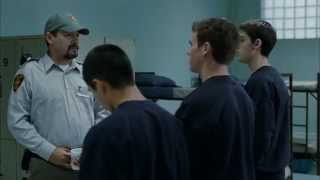 Dog Pound | Trailer Dog Pound | Trailer