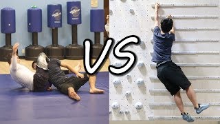 Brazilian Jiu-jitsu VS Rock Climbing (WORKOUT CHALLENGE!)