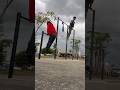 Straight Bar Dips #streetworkout #fitness #workout #chestday
