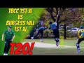 T20 cup  tbcc 1st xi vs burgess hill 1st xi  cricket highlights