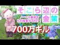 【FF14 金策】そこら辺で採集できるアイテムで金策してみたらスゴかった！