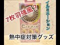 【CAT FAN】7枚羽・イルミネーションがキレイすぎる！