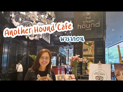 jib พารากอน  2022 New  ร้านอร่อยพารากอน | anotherhound cafe | แนะนำของกินที่พารากอน | ร้านอาหารพารากอน | พารากอน