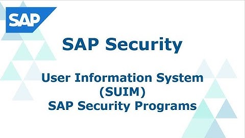 SAP Security User Information System SUIM | SAP Security Programs