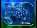 Биология 17. Органы чувств. Брусника. Водомерка — Академия занимательных наук