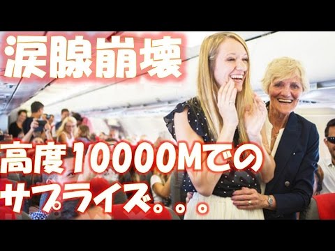高度10000mのハイジャック！彼氏渾身のサプライズプロポーズが素敵すぎる 相互登録 【感動する話】【涙腺崩壊】