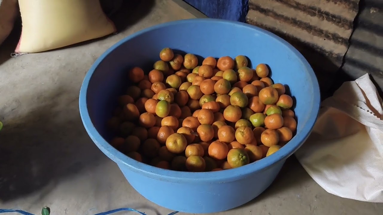 Nirvanic Ashram Nandu gaon south sikkim.