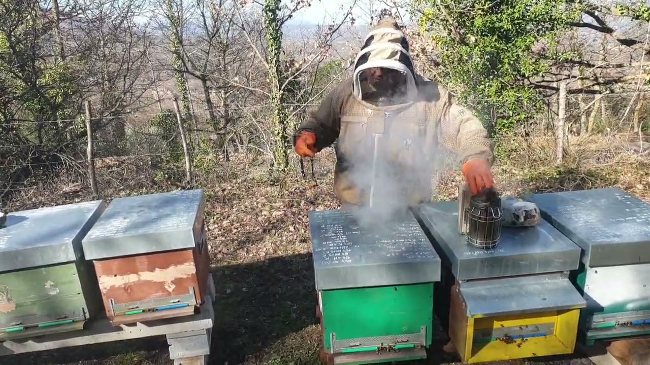 Apicoltura: le classiche operazioni di svernamento