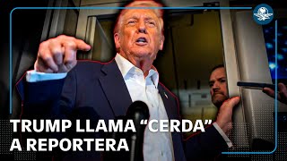 Trump Llama Cerda A Reportera Tras Cuestionarlo Sobre El Caso Epstein