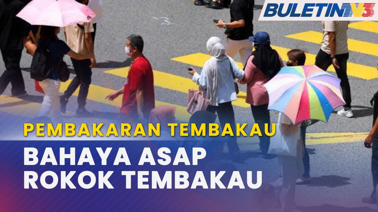 PEMBAKARAN TEMBAKAU | Bebaskan Lebih 6,000 Bahan Kimia Berbahaya