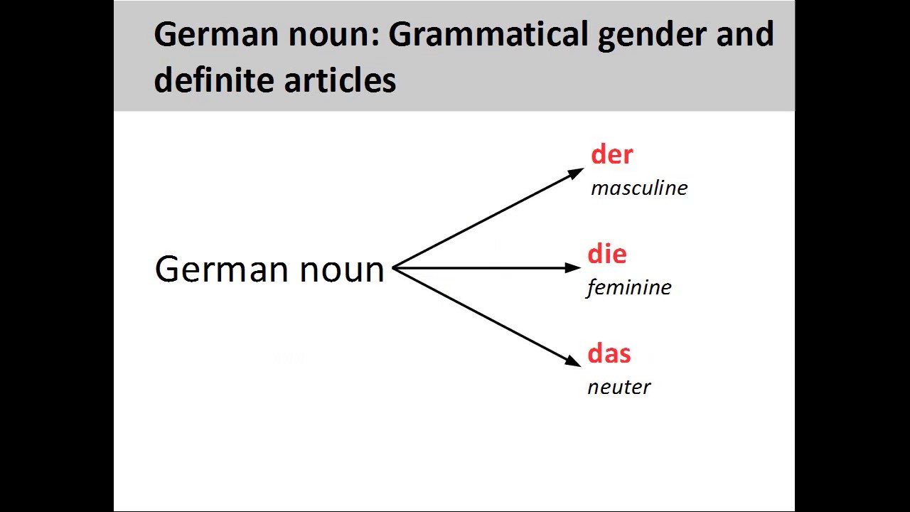 Gender and number of German nouns German Grammar YouTube