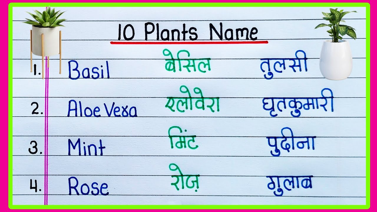 10 Plants Name in English and Hindi with Pictures | 10 पौधों के नाम
