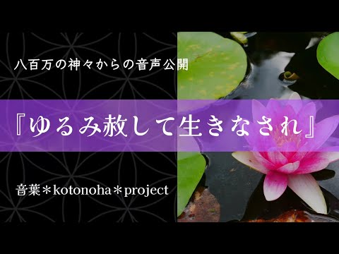 ゆるみ赦して生きなされ （書:藤川ゆりかさん）〜八百万の神々からのメッセージ～　音葉＊otoha＊