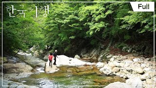 [Full] 한국기행- 지리산 계곡기행 1부- 뱀사골의 여름