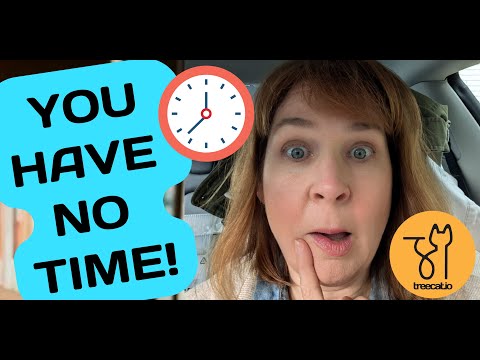 What to Do When You Have No Time! | #crosslisting #treecat