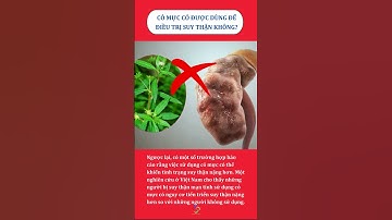 ✴️ CỎ MỰC CÓ GIÚP ĐIỀU TRỊ SUY THẬN KHÔNG?