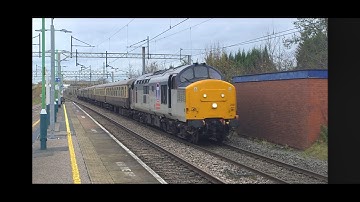 Amazing Variety At Acton Bridge