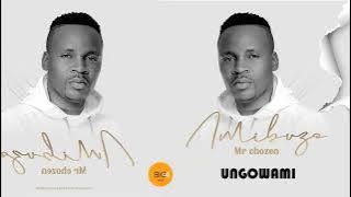 Mr Chozen - Ungowami ft M Nation