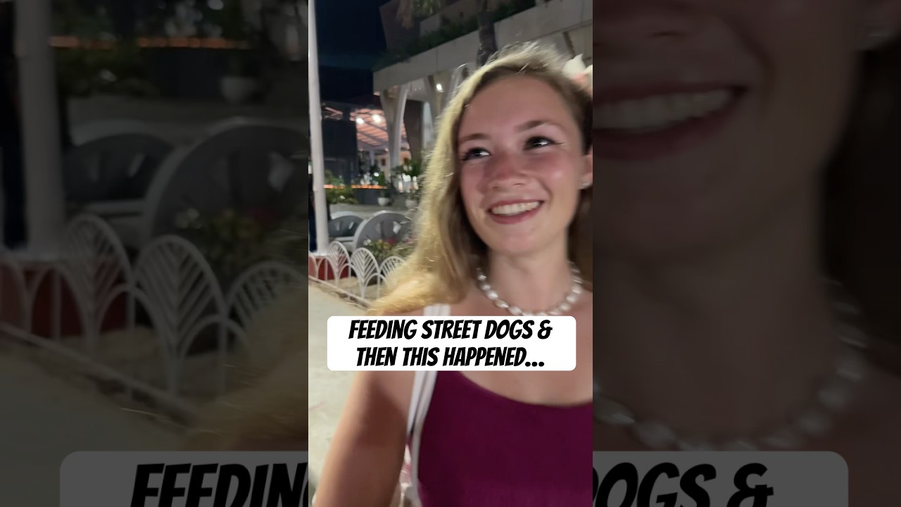 The dogs loved the balut 😅😂 