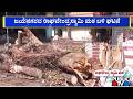 Huge Tree Uproots Near Raghavendra Swamy Mutt In Jayanagar